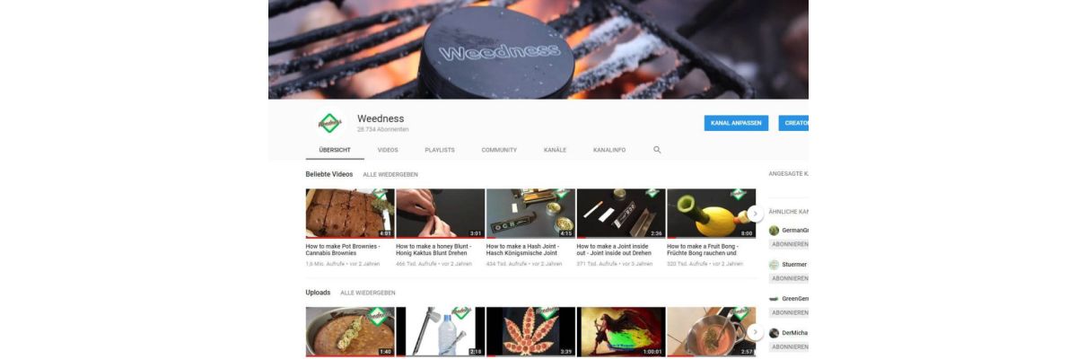 Cannabis Youtube Channel – Die 5 besten Videos bei Weedness - Cannabis YouTube Channel: Wissenswertes und Unterhaltung