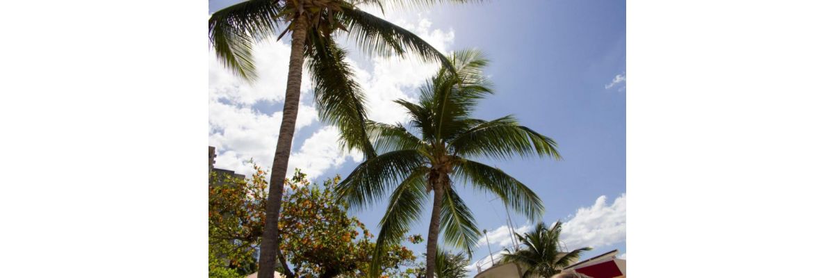 Jamaika Urlaub Teil 1 – Wetter &amp; Montego Bay - Jamaika Urlaub: Paradiesische Erholung erleben