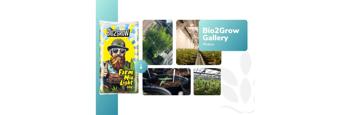 Weedness stellt vor: Bio2Grow und das neue Farm Mix Light Substrat - Weedness stellt vor: Bio2Grow und das neue Farm Mix Light Substrat