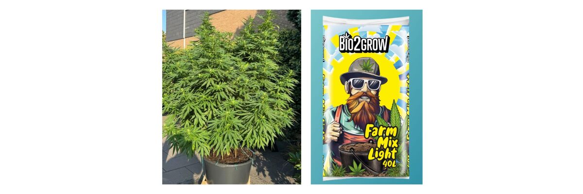 Cannabis Erde – Alles über den Bio2Grow Farm Mix Light - Cannabis Erde – Alles über den Bio2Grow Farm Mix Light