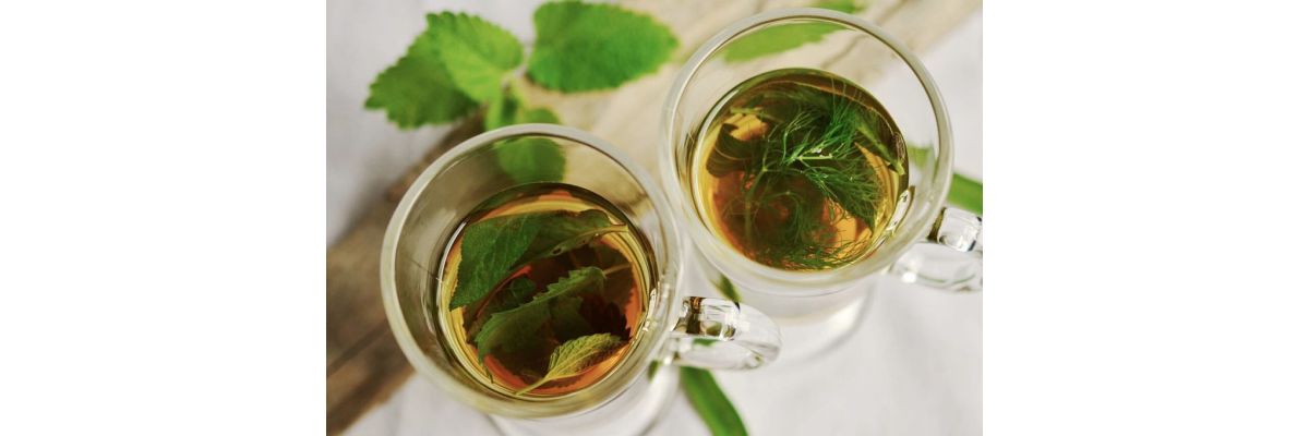Cannabis Tee Rezept – Selber machen für Zuhause oder Unterwegs - Cannabis Tee Rezept – Einfache Anleitung!