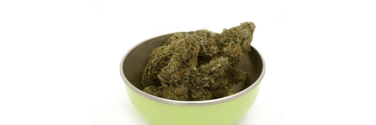 Cannabis Ernten Blätter – Anleitung für Einsteiger &amp; Fortgeschrittene - &quot;Cannabis Ernten: Blätter richtig entfernen