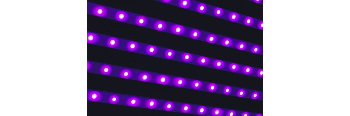 LED Growbox Optimieren – 5 einfache Schritte zu mehr Ertrag - LED Growbox optimieren: Tipps für besseres Wachstum