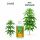 Advanced Hydroponics Final Solution 250 ml - Spülmittel Pflanzen