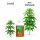 Advanced Hydroponics Growth/Bloom Excellarator 1 Liter - Ertragssteigerung