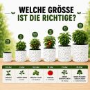 Root Plus Plant Pot 1.5 Liter
