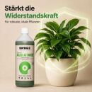 BioBizz Alg-a-mic 5 Liters - Organic Algae-Based Vitalizer