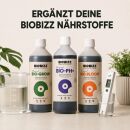 BioBizz pH+ Plus 10 Liters - pH Regulator for Plants