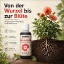 BioBizz Bloom 1 Liter - Organic Flower Fertilizer