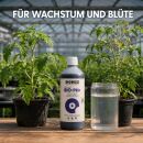 BioBizz pH+ PLUS 250 ml - pH Regulator for Plants