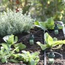 Blumat Bewässerungs-System 12er Set – Automatische Pflanzenbewässerung