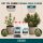 Canna Aqua Flores A & B Dünger-Set – 2 × 1 Liter (2 Liter Gesamtmenge)