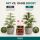 Canna Boost 10 Liters – Bloom Stimulator XXL