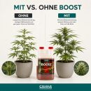 Canna Boost 250 ml – Bloom Stimulator Small