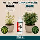 Canna pH- PRO Minus 1 Liter für Blüte – pH-Senker