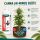 Canna pH- PRO Minus 1 Liter für Blüte – pH-Senker