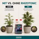Canna Rhizotonic 500 ml – Root Stimulator