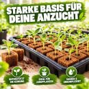 Eazy Plug Seedling Cubes 77 Pieces