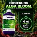 Plagron Alga Bloom 100 ml – Organischer Blütedünger Klein