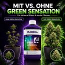 Plagron Green Sensation 100 ml – All-in-One Bloom Booster