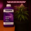 Plagron Lemon Kick pH Minus 1 Liter – pH Reducer Citric Acid