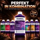 Plagron Power Roots 250 ml – Root Stimulator Power
