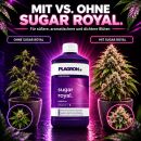Plagron Sugar Royal 100 ml – Bloom Stimulator Sugar