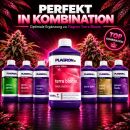 Plagron Terra Bloom 5 Liters – Mineral Bloom Fertilizer
