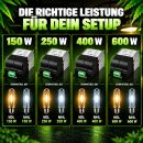 Vorschaltgerät 600 Watt für NDL & MHL – Magnetisches Vorschaltgerät