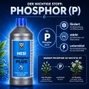 Hesi Phosphor Plus 500 ml – Bloom Additive Phosphorus