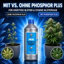 Hesi Phosphor Plus 500 ml – Bloom Additive Phosphorus