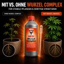 Hesi Wurzel Complex 2,5 Liter – Wurzelstimulator Stark