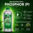 Hesi Blüh Complex 10 Liter – Mineralischer Blütedünger