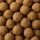 Plagron Euro Pebbles 10 Liters – Hydroponic Growing Medium