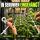 Plant Net Web-IT 60 x 60 cm – Plant Climbing Net