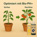 BioBizz pH-Minus & Plus Set – Bio pH Regulierungsset