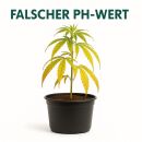 Plagron pH-Set – Plagron pH Regulierungsset