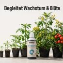 BioBizz Bio Heaven 5 Liters – Plant Energy Booster