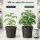 BioBizz Bio Heaven 5 Liters – Plant Energy Booster