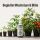 BioBizz Bio Heaven 5 Liters – Plant Energy Booster