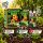 BioTabs Guerrilla Starter Pack – Organic Outdoor Growing Kit