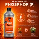 Hesi Coco 1 Liter – Cocodünger Komplett