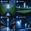 Pure CMH Leuchtmittel 315 Watt Wuchs – 4200 K Lampe...