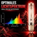 Pure CMH 315 Watt Bloom Light Bulb – CMH Bloom Lamp