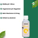 Biobizz pH- Minus Flüssig 250 ml