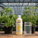 Biobizz pH-MINUS 250 ml – Organic pH Down Solution