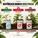 BioBizz Hydroponic Nutrient Set - 3-Piece Hydroponics Kit