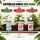 BioBizz Hydroponic Nutrient Set - 3-Piece Hydroponics Kit