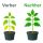 Hesi Hydro Culture Starter Set – Hydro Nutrient Starter Kit