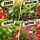 Hand-Free Garden Shears – Ergonomic Plant Pruner